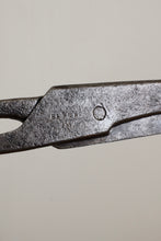 画像をギャラリービューアに読み込む, Scissors