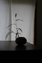 画像をギャラリービューアに読み込む, 川揚がり弥生土器