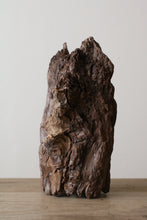 画像をギャラリービューアに読み込む, 木塊