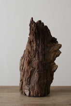 画像をギャラリービューアに読み込む, 木塊