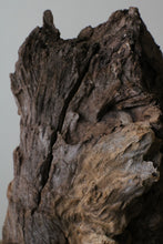 画像をギャラリービューアに読み込む, 木塊