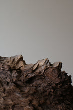 画像をギャラリービューアに読み込む, 木塊