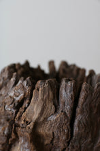 画像をギャラリービューアに読み込む, 木塊