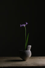 画像をギャラリービューアに読み込む, 川あがり弥生土器