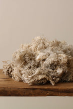 画像をギャラリービューアに読み込む, 雲雀は屹度雲の中で死ぬに相違ない