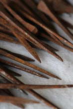 画像をギャラリービューアに読み込む, 四角いあたま