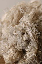 画像をギャラリービューアに読み込む, 雲雀は屹度雲の中で死ぬに相違ない