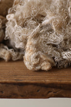 画像をギャラリービューアに読み込む, 雲雀は屹度雲の中で死ぬに相違ない