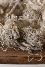 画像をギャラリービューアに読み込む, 雲雀は屹度雲の中で死ぬに相違ない