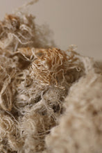 画像をギャラリービューアに読み込む, 雲雀は屹度雲の中で死ぬに相違ない