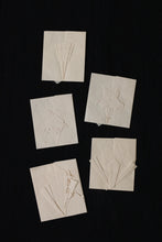 画像をギャラリービューアに読み込む, 折形 A