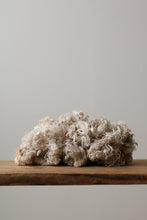 画像をギャラリービューアに読み込む, 雲雀は屹度雲の中で死ぬに相違ない