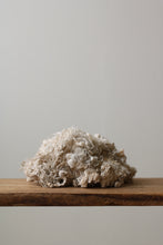 画像をギャラリービューアに読み込む, 雲雀は屹度雲の中で死ぬに相違ない