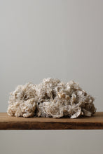 画像をギャラリービューアに読み込む, 雲雀は屹度雲の中で死ぬに相違ない