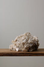 画像をギャラリービューアに読み込む, 雲雀は屹度雲の中で死ぬに相違ない