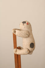 画像をギャラリービューアに読み込む, 聖人と猫