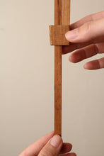 画像をギャラリービューアに読み込む, 聖人と猫