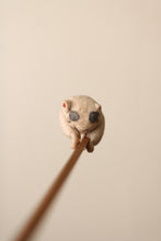 画像をギャラリービューアに読み込む, 聖人と猫