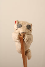 画像をギャラリービューアに読み込む, 聖人と猫