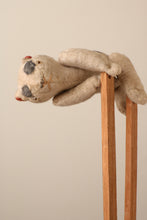 画像をギャラリービューアに読み込む, 聖人と猫