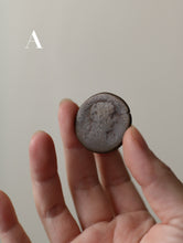 画像をギャラリービューアに読み込む, 消えゆく表情、増してゆく美しさ
