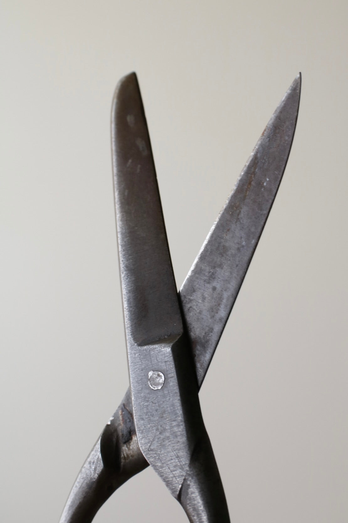 scissors – tametsu sugametsu