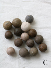 画像をギャラリービューアに読み込む, どれもが表情豊かで美しい
