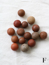 画像をギャラリービューアに読み込む, どれもが表情豊かで美しい
