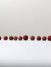 画像をギャラリービューアに読み込む, どれもが表情豊かで美しい
