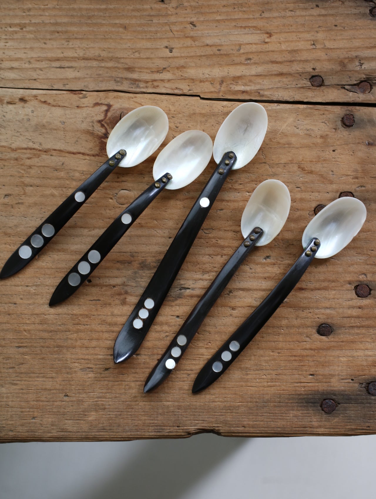 SHELL SPOON 5