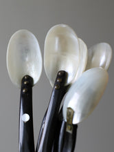 画像をギャラリービューアに読み込む, SHELL SPOON 5
