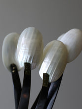 画像をギャラリービューアに読み込む, SHELL SPOON 5
